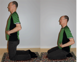 Figure 6: Maintain the brace as you flex the hips and sit back on your heels, and then while rising again.