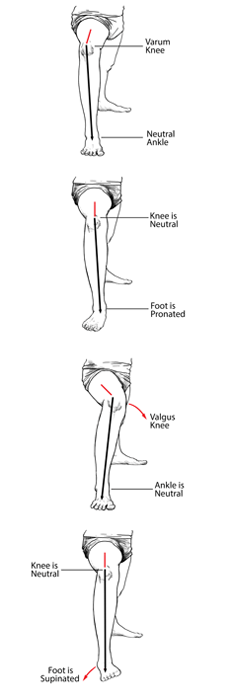 Every body is different! Every body is different!