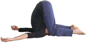 Snail with knees bent