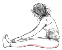 Yin Yoga Caterpillar