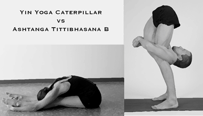 Caterpillar or Tittibhasana II