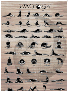 Poster of Yin Yoga Poses