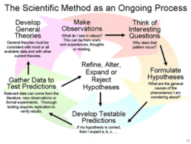 The scientific method The scientific method