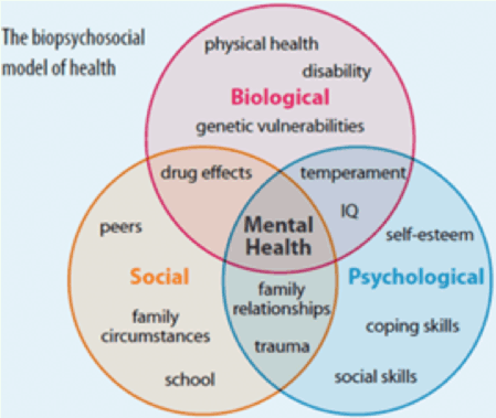 The biopsychosocial model The biopsychosocial model