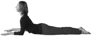 Sphinx Pose Sphinx Pose