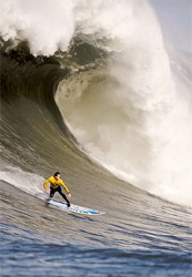 Surfing the Ocean Breath