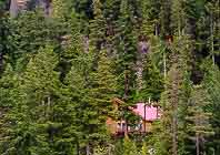 SSRC from Daisy Lake